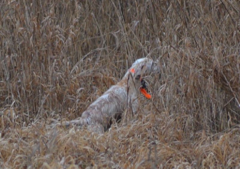 Publication : Des Bords De La Trézence