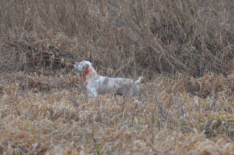 Publication : Des Bords De La Trézence