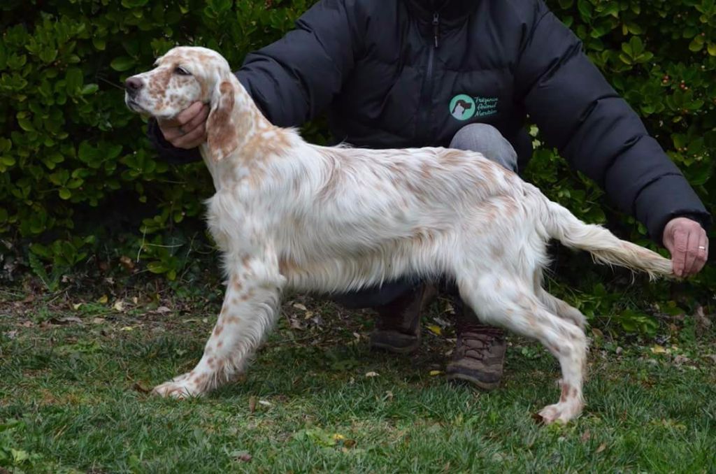 Publication : Des Bords De La Trézence