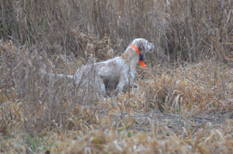 Publication : Des Bords De La Trézence