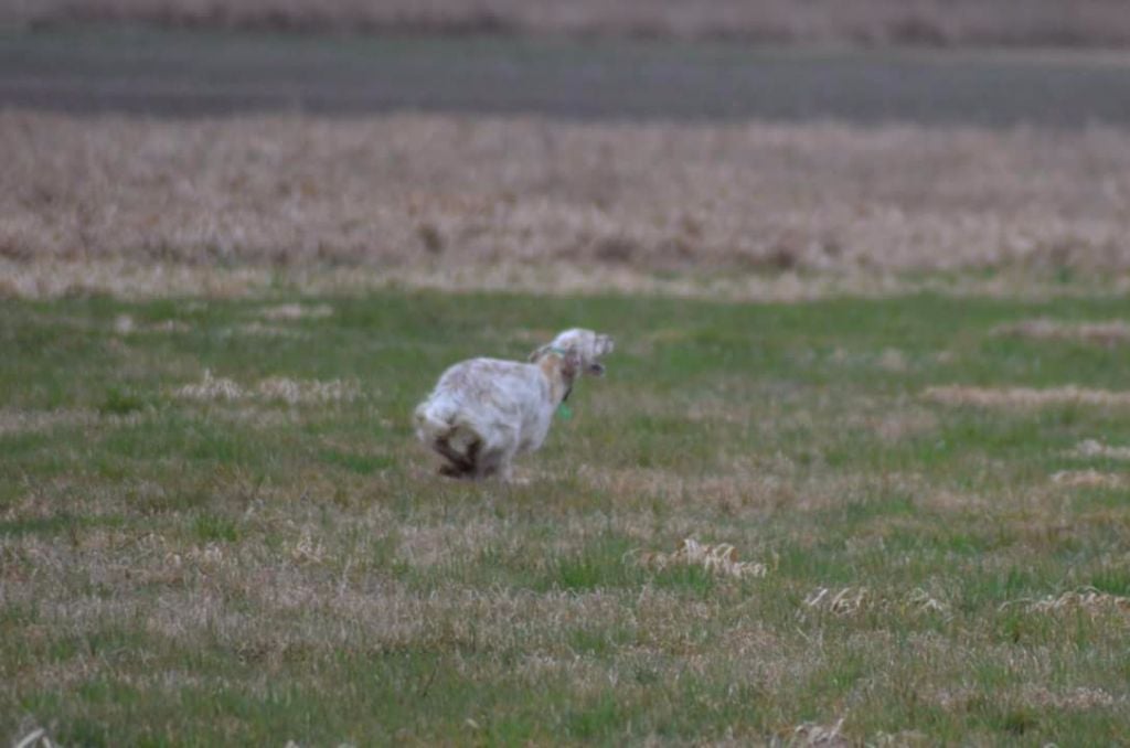Publication : Des Bords De La Trézence
