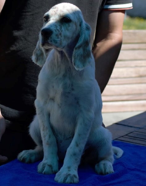 Publication : Des Bords De La Trézence