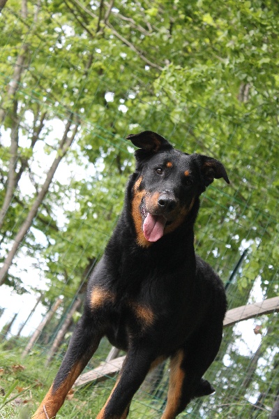 Publication : De L'eden Doslancka