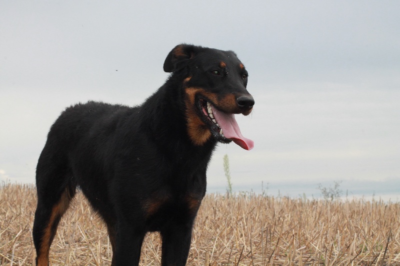 Publication : De L'eden Doslancka