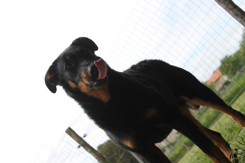 Publication : De L'eden Doslancka