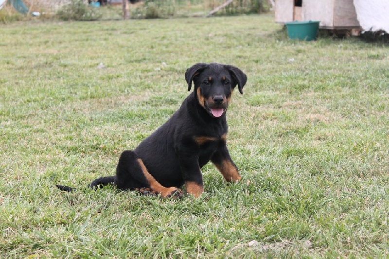 Publication : De L'eden Doslancka