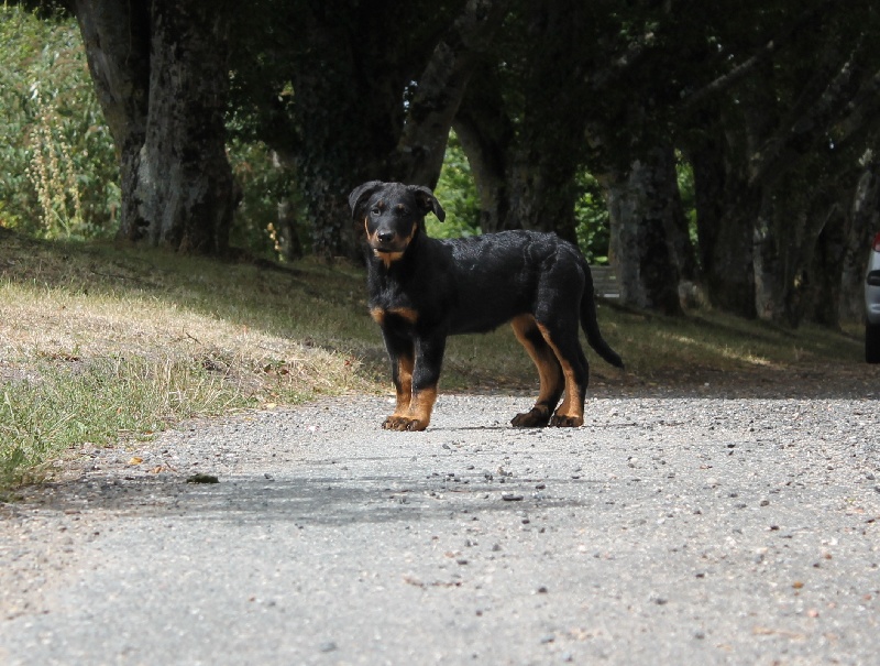 Publication : De L'eden Doslancka