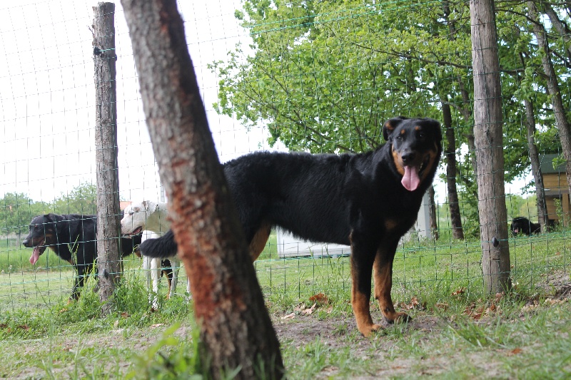 Publication : De L'eden Doslancka