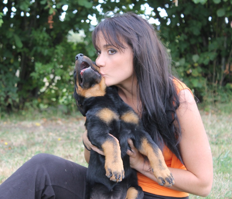 Publication : De L'eden Doslancka