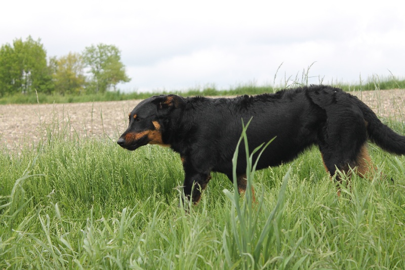 Publication : De L'eden Doslancka