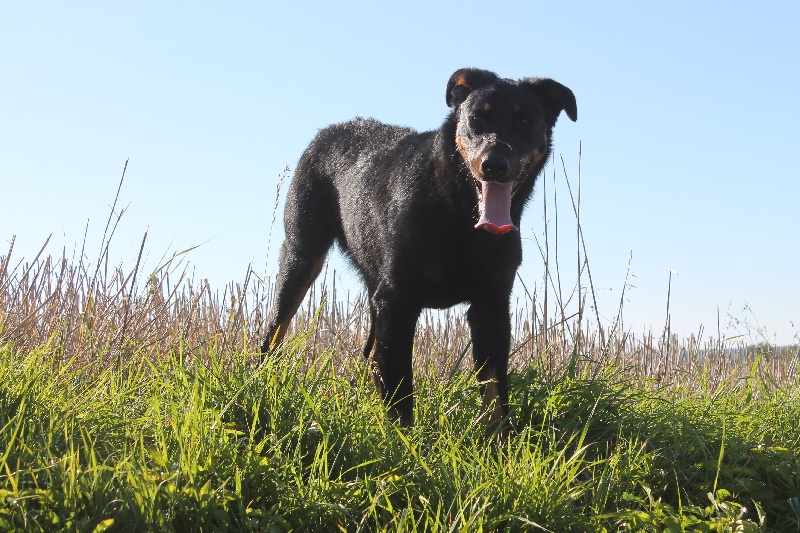 Publication : De L'eden Doslancka