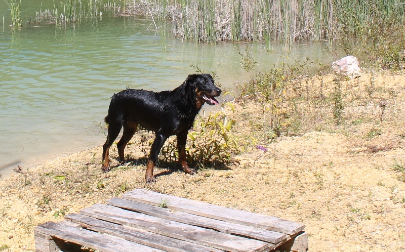 Publication : De L'eden Doslancka