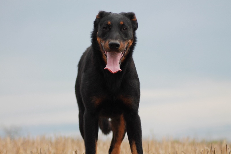 Publication : De L'eden Doslancka