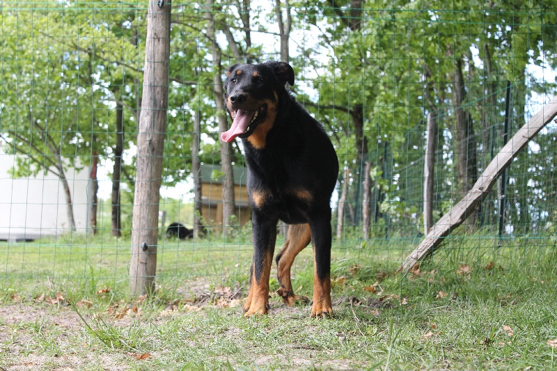 Publication : De L'eden Doslancka