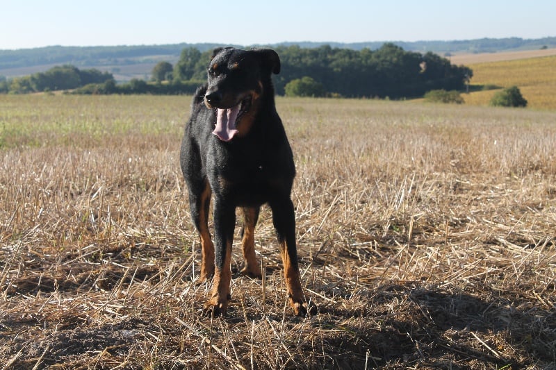 Publication : De L'eden Doslancka