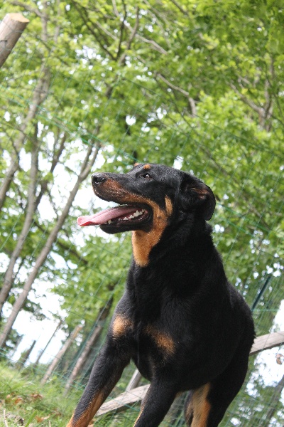 Publication : De L'eden Doslancka