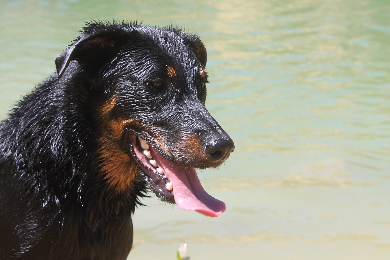 Publication : De L'eden Doslancka