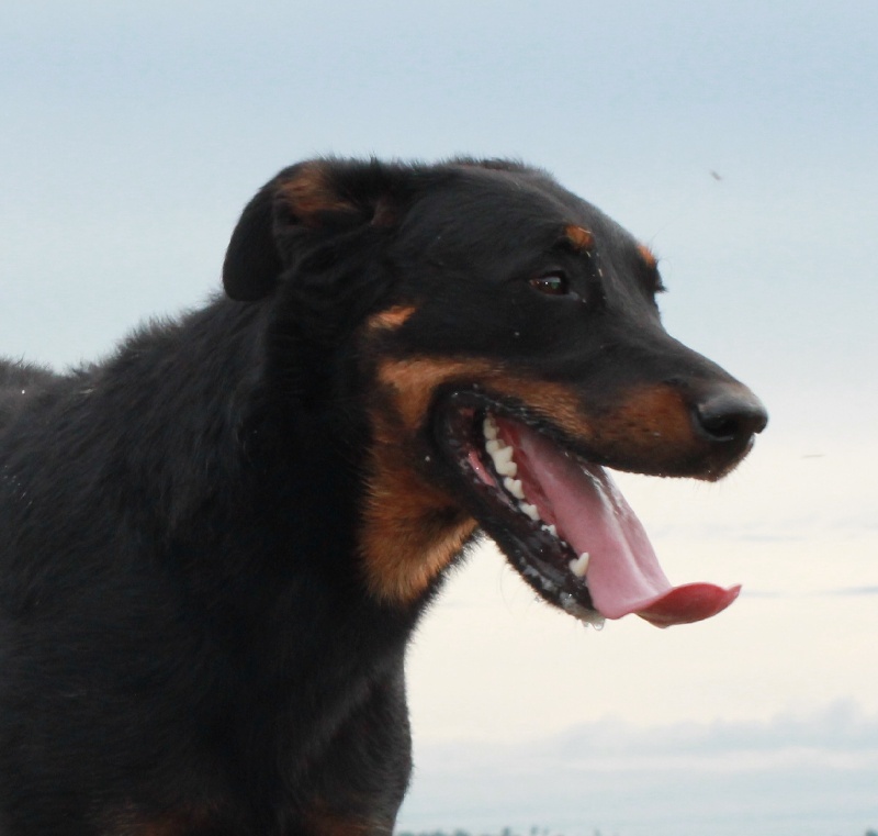 Publication : De L'eden Doslancka