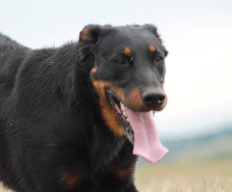 Publication : De L'eden Doslancka