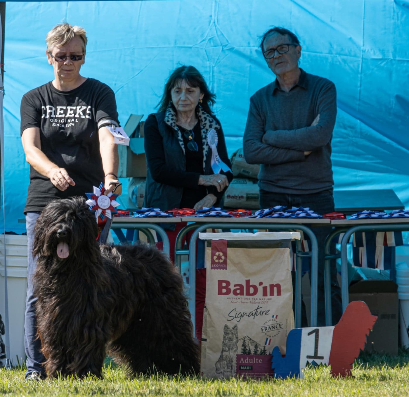 Venusse black De La Baie D'adonis - 1 ere excellente CACS