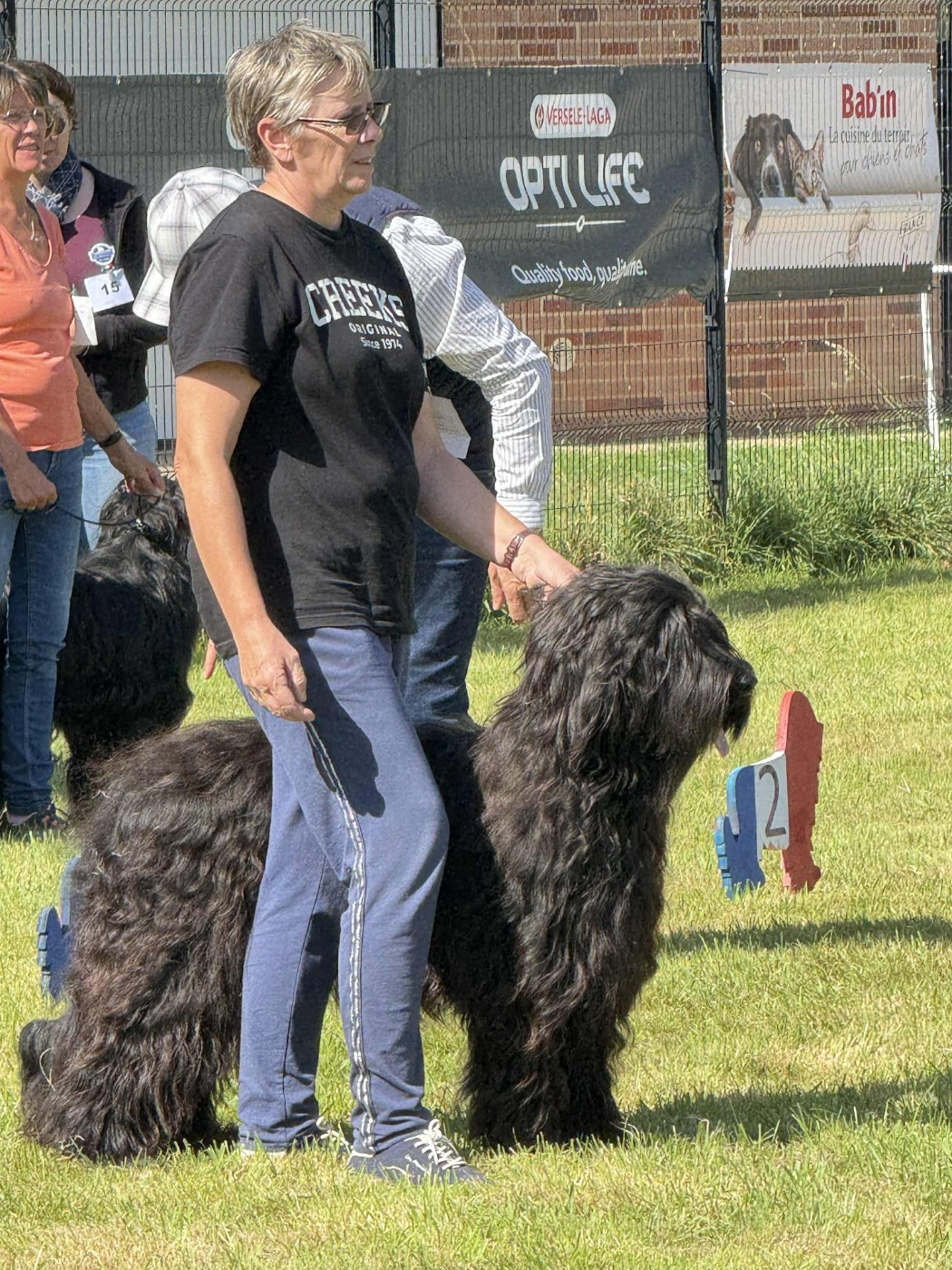 Venusse black De La Baie D'adonis - 1ere exc cacs