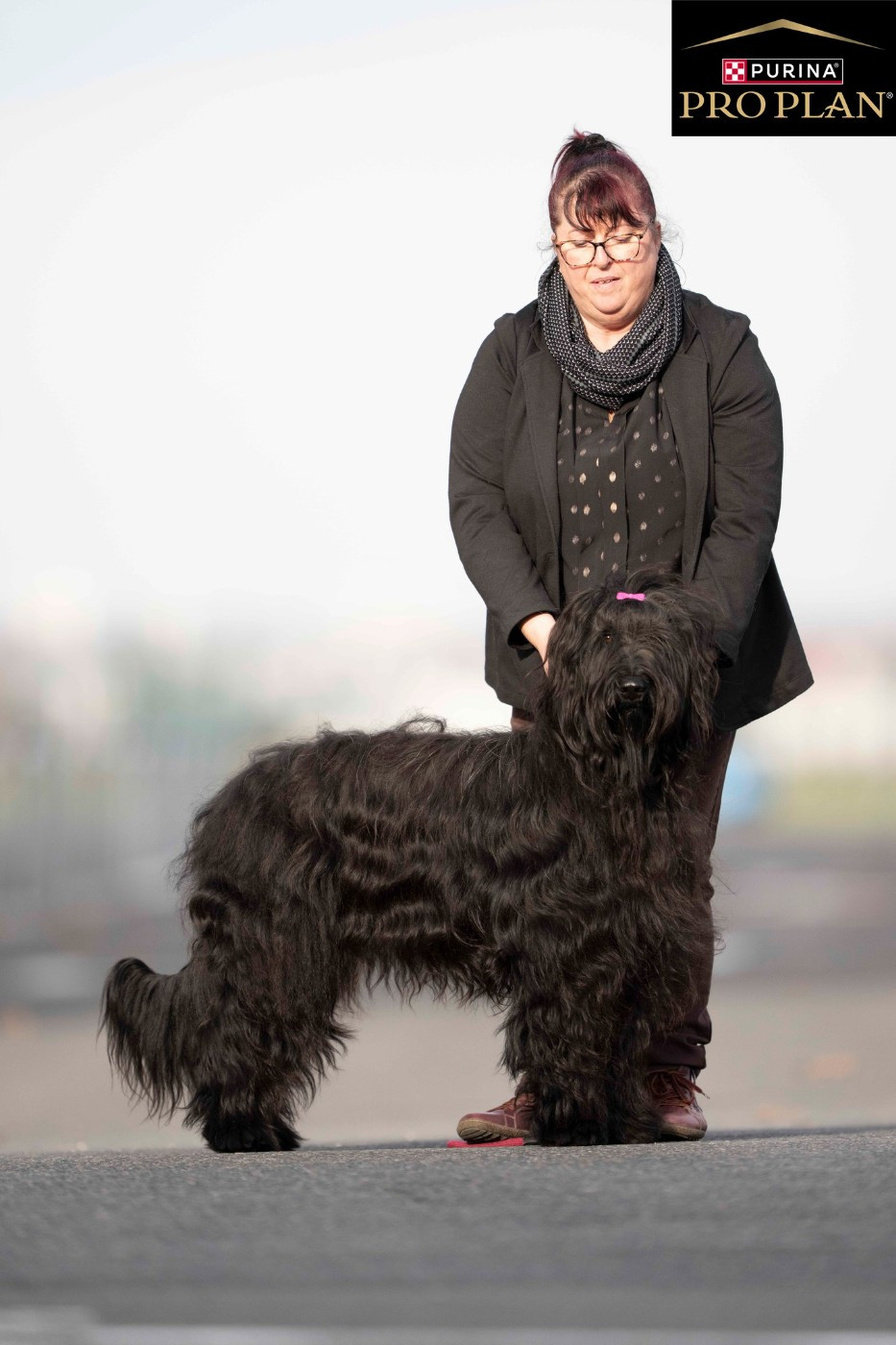 Venusse black De La Baie D'adonis - 1ere exc RCACS