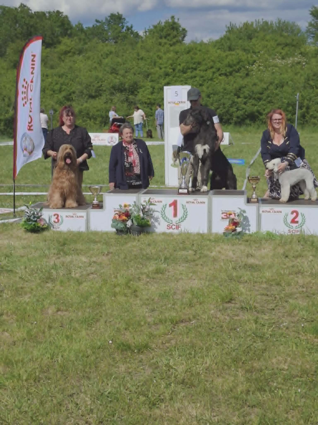 CH. Victory of the Teasing Stars - meilleur de race , meilleure du 1 er groupe et 3 eme meilleur chien de l 'exposition