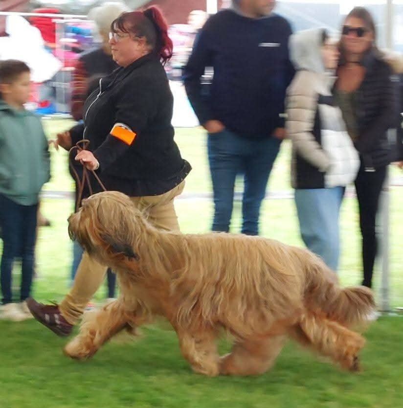 CH. Victory of the Teasing Stars - Cacib,meilleure de race