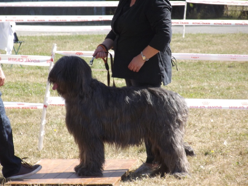 Clémentine blue des ti'bidoums - excellent