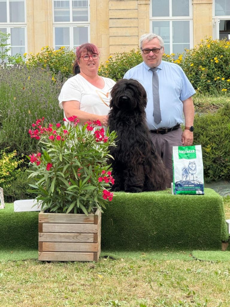 Venusse black De La Baie D'adonis - BEST IN SHOW JEUNE