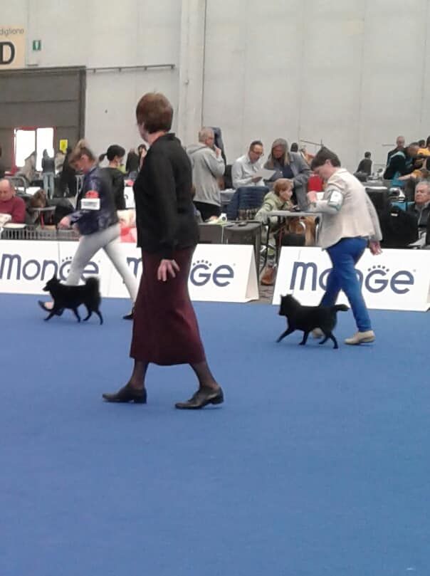 od prachovských skal Yamcha - 1 ere EXC. BOB JEUNE