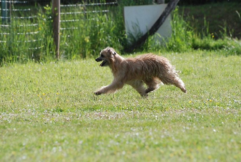 Publication : De La Devette Pastourelle Auteur : Devette Pastourelle