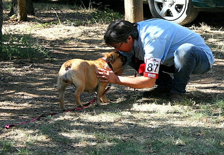 Ficelle (produit par le vallon des furby's) (Sans Affixe) - 4 Excellent en classe intermédiaire + TAN