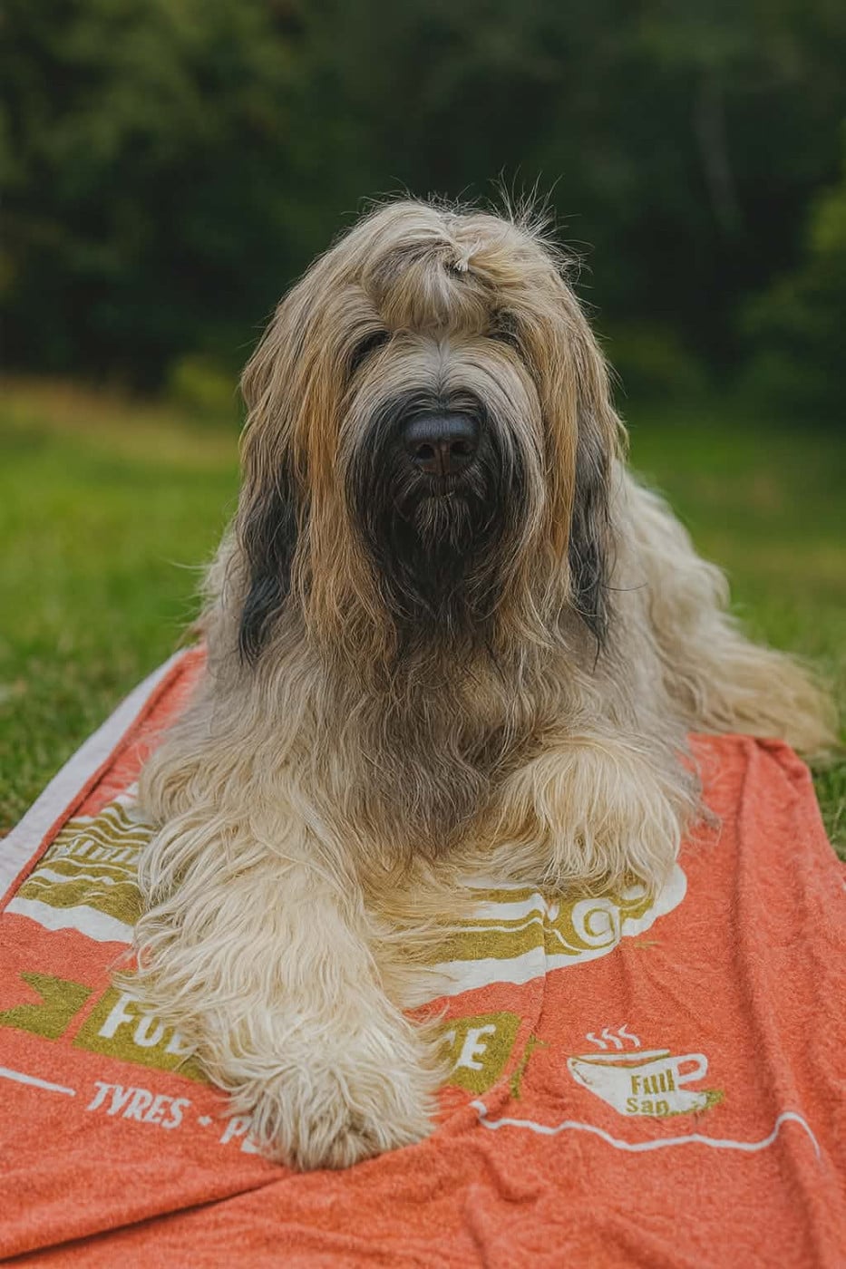 Ulysse De La Pointe De La Torche