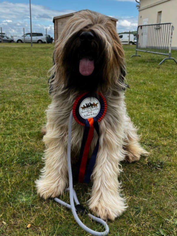 Ulysse De La Pointe De La Torche