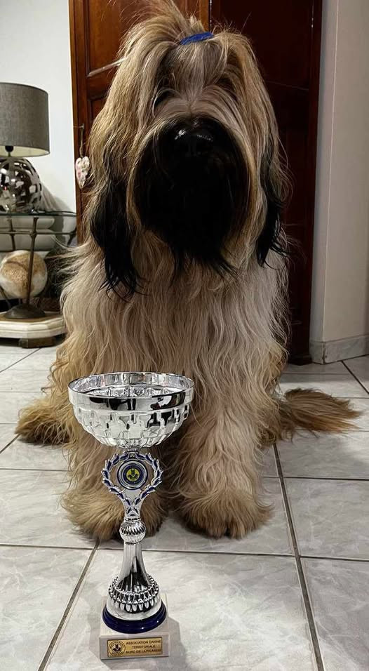 Ulysse De La Pointe De La Torche