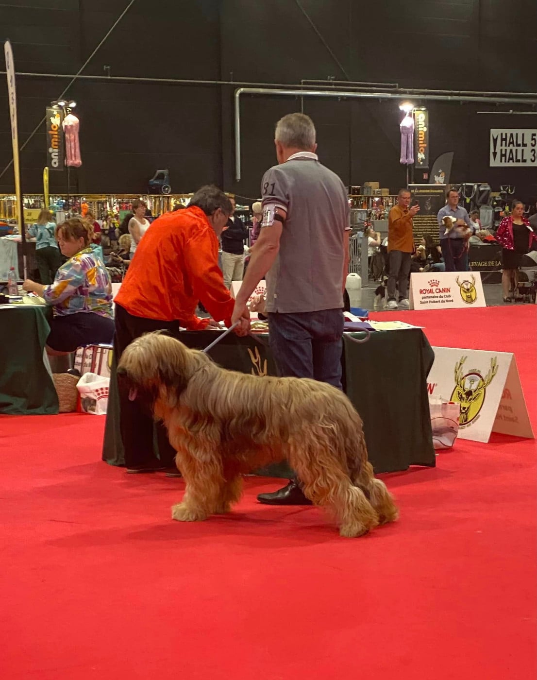 Ulysse De La Pointe De La Torche