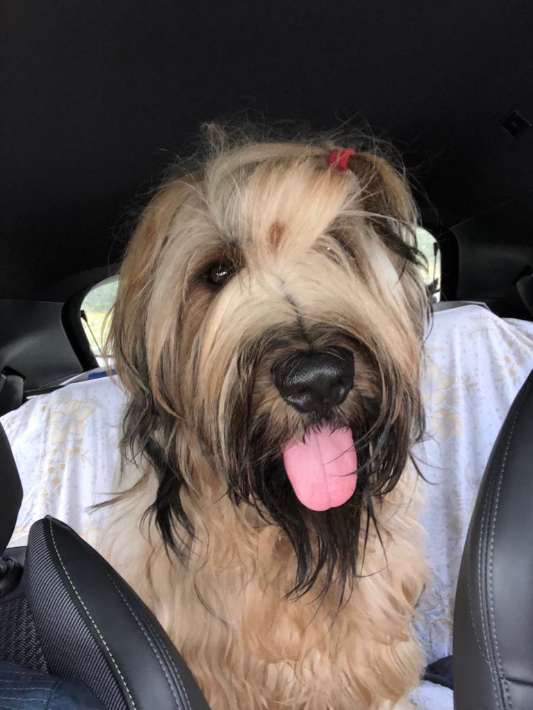 Ulysse De La Pointe De La Torche