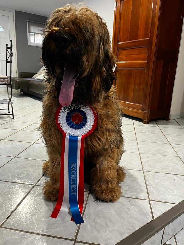 Ulysse De La Pointe De La Torche