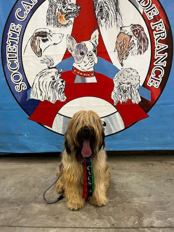 Ulysse De La Pointe De La Torche