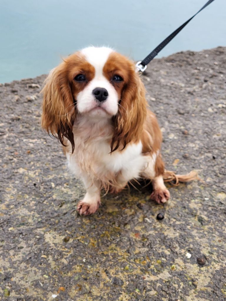 Akuna matata Du Millésime Champenois