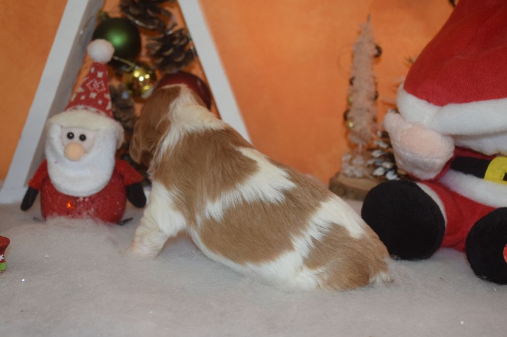 A.......... du millésime champenois