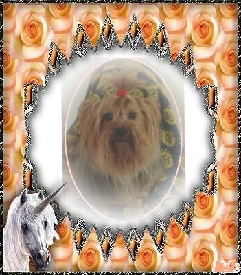 Publication : Des Rivages De Tir Na Nog Auteur : Des Rivages De Tir Na Nog