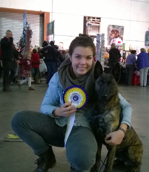 CH. Iberian pleasure De La Terre Des Flandres - 1er Excellent - RCAC - RCACIB