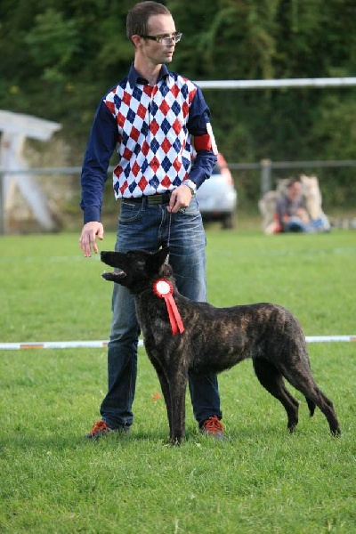 CH. Denfer (Sans Affixe) - 2ème Excellent - CTF