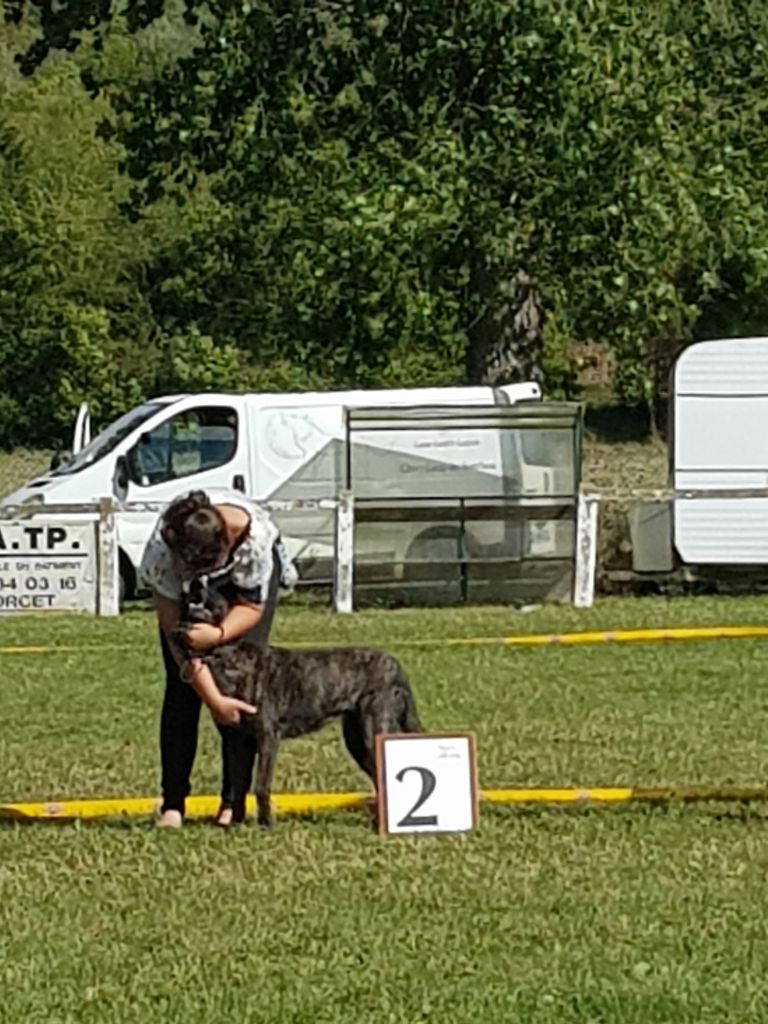 CH. Denfer (Sans Affixe) - 2ème Excellent en classe vétéran sur 3