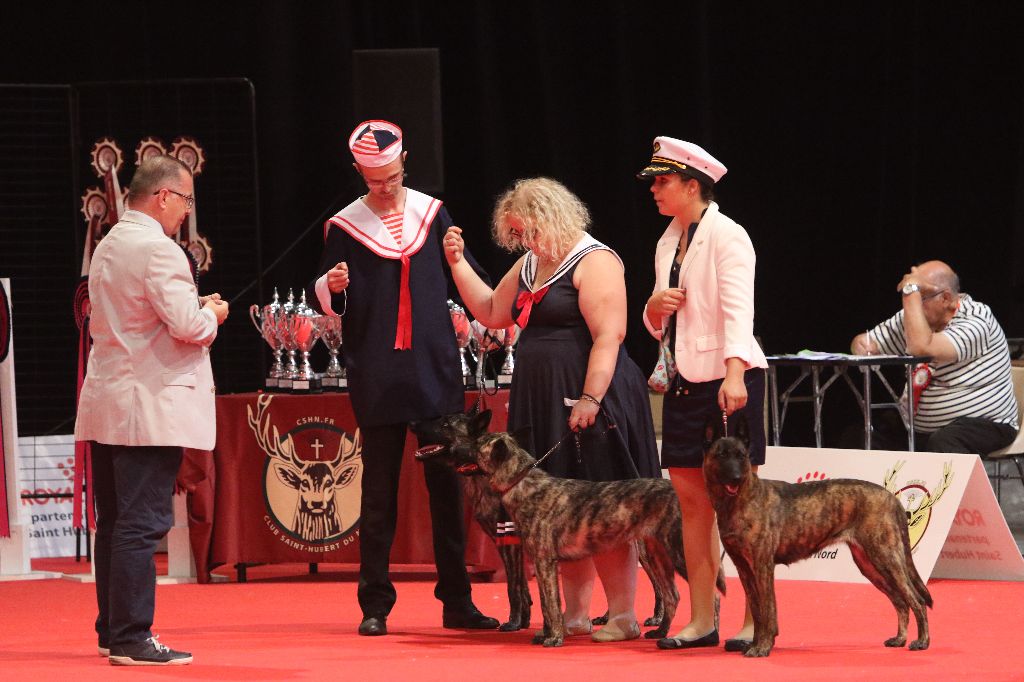 CH. Iberian pleasure De La Terre Des Flandres - 3ème Meilleur Lot d'affixe