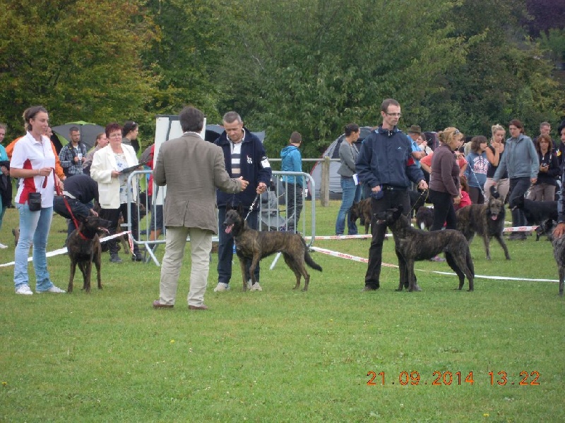 CH. Denfer (Sans Affixe) - 3eme Excellent - classe travail