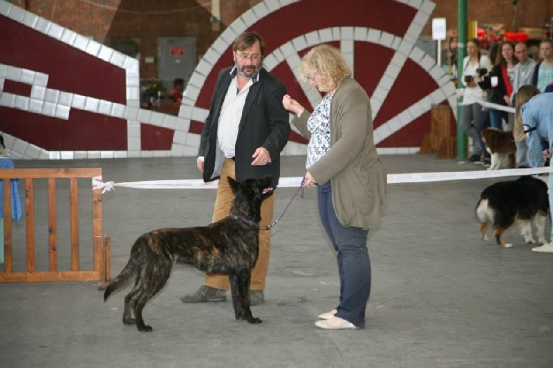 CH. Charete dela contrie wapini von folge - 1er Excellent - Meilleur Jeune