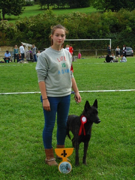 CH. Charete dela contrie wapini von folge - 4ème Excellent - Confirmée - CIF